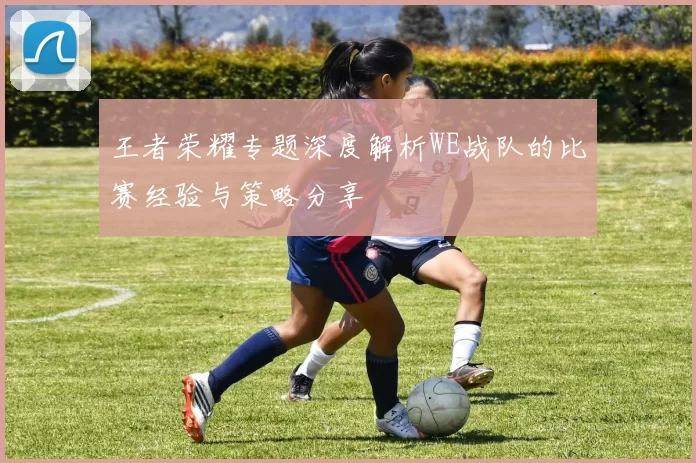 王者荣耀专题深度解析WE战队的比赛经验与策略分享