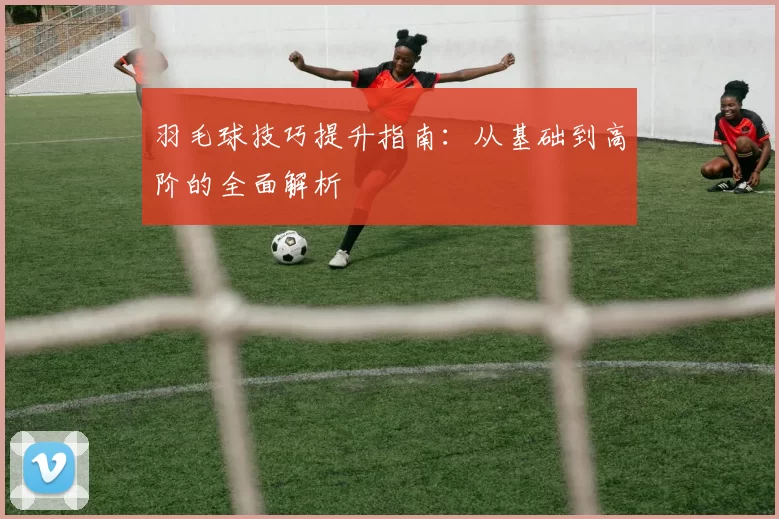 羽毛球技巧提升指南：从基础到高阶的全面解析