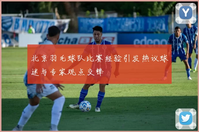 北京羽毛球队比赛经验引发热议球迷与专家观点交锋