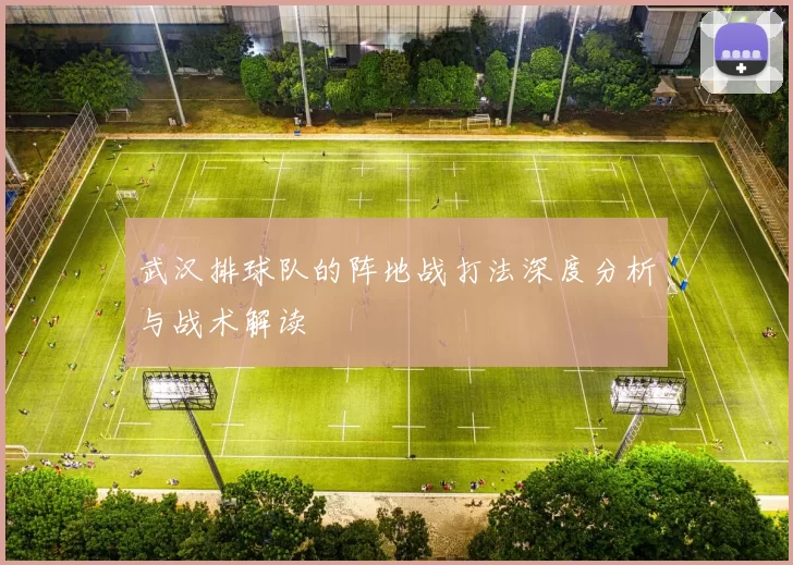 武汉排球队的阵地战打法深度分析与战术解读