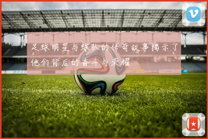 足球明星与球队的传奇故事揭示了他们背后的奋斗与荣耀