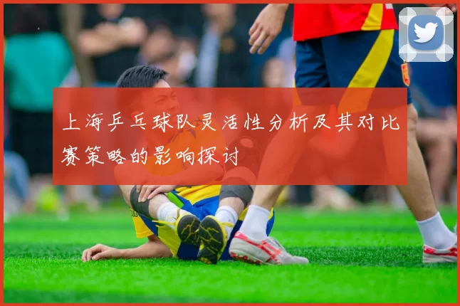 上海乒乓球队灵活性分析及其对比赛策略的影响探讨