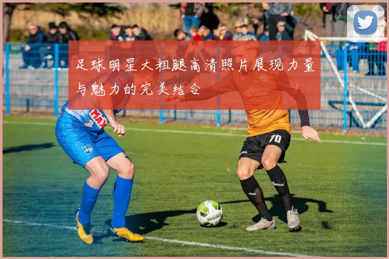 足球明星大粗腿高清照片展现力量与魅力的完美结合