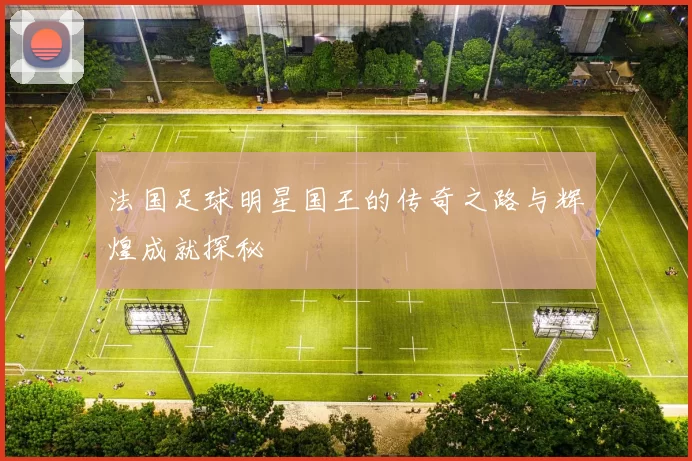 法国足球明星国王的传奇之路与辉煌成就探秘