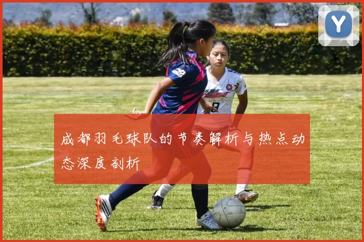 成都羽毛球队的节奏解析与热点动态深度剖析