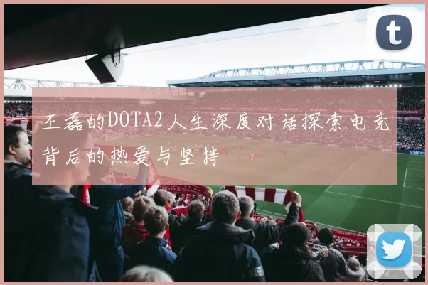 王磊的DOTA2人生深度对话探索电竞背后的热爱与坚持