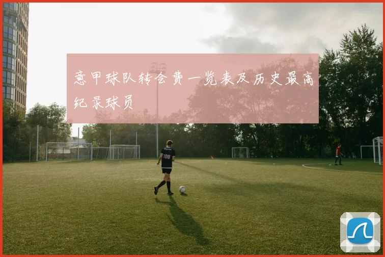 意甲球队转会费一览表及历史最高纪录球员