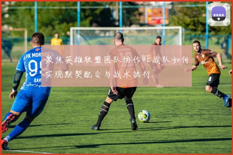 聚焦英雄联盟团队协作WE战队如何实现默契配合与战术执行