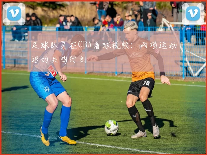 足球队员在CBA看球视频：两项运动迷的共鸣时刻