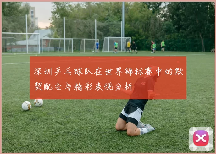 深圳乒乓球队在世界锦标赛中的默契配合与精彩表现分析