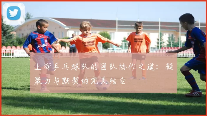 上海乒乓球队的团队协作之道：凝聚力与默契的完美结合