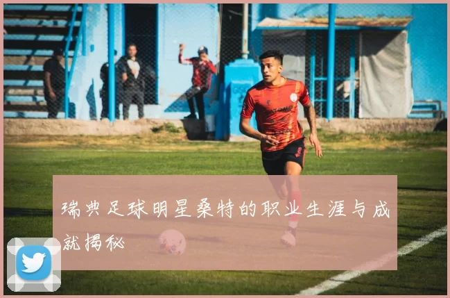 瑞典足球明星桑特的职业生涯与成就揭秘