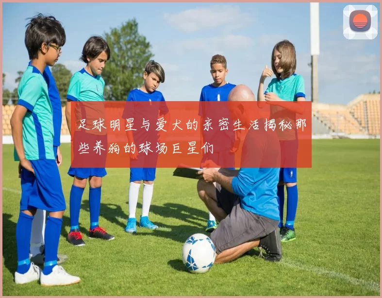 足球明星与爱犬的亲密生活揭秘那些养狗的球场巨星们