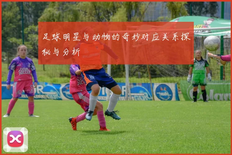 足球明星与动物的奇妙对应关系探秘与分析