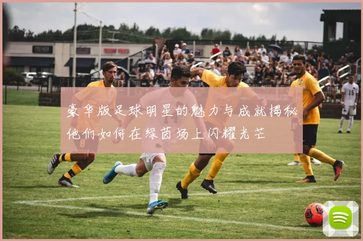 豪华版足球明星的魅力与成就揭秘他们如何在绿茵场上闪耀光芒