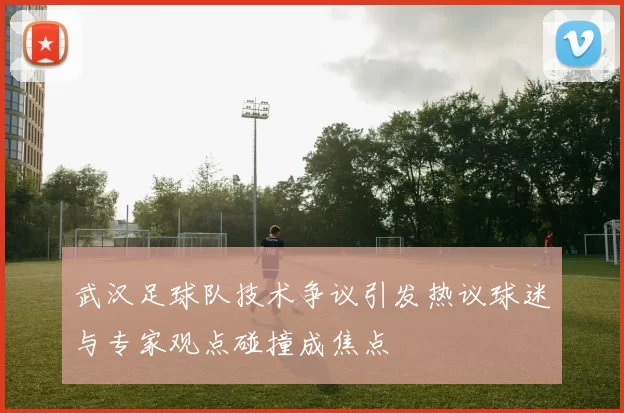武汉足球队技术争议引发热议球迷与专家观点碰撞成焦点