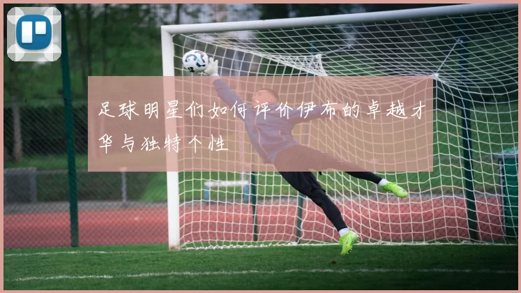 足球明星们如何评价伊布的卓越才华与独特个性